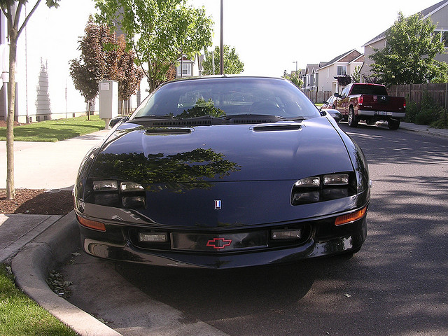 3942709776_e8aae8161e_z[1].jpg (140 KB)